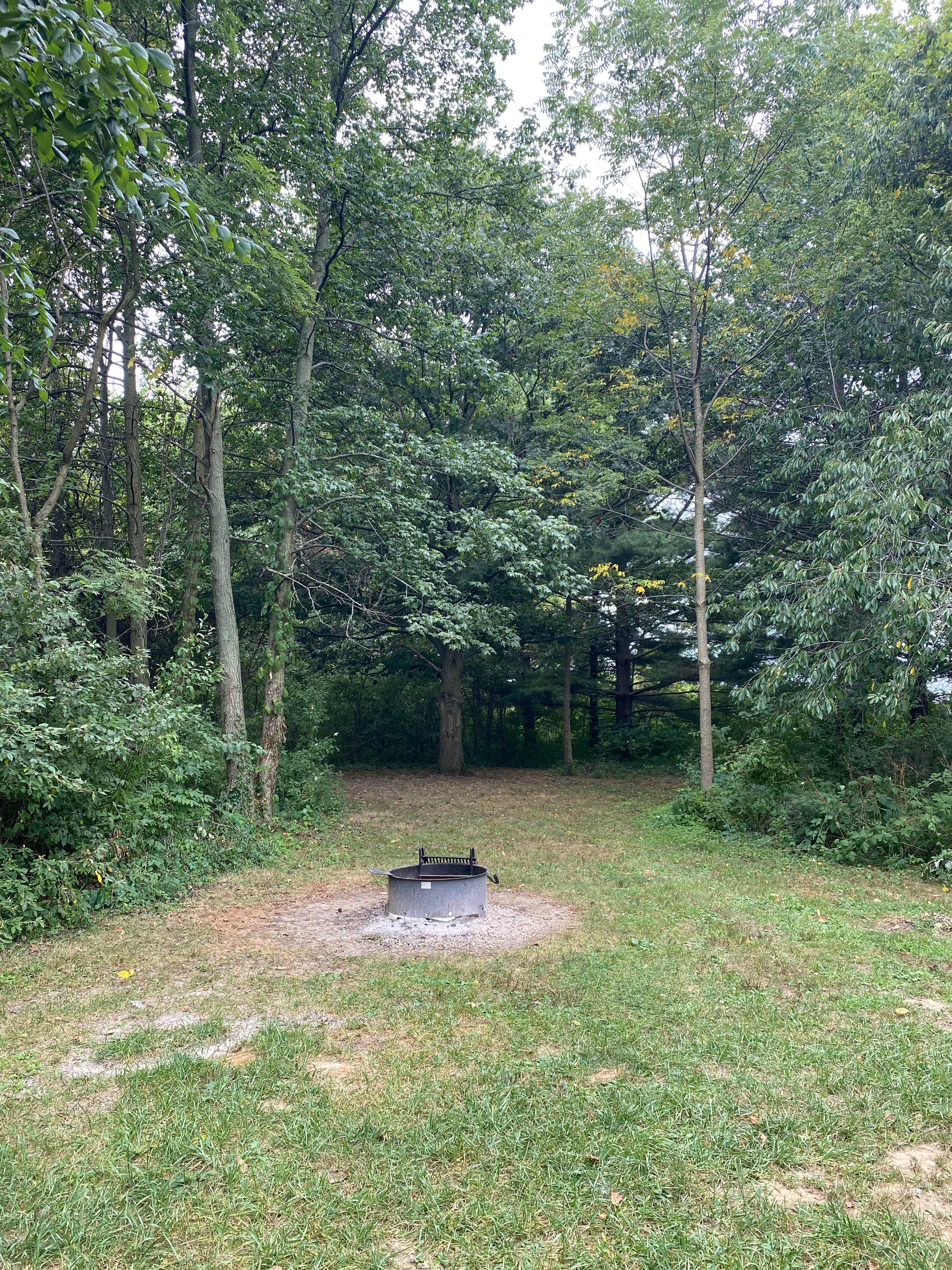 Camper-submitted photo at Van Buren State Park Campground near Old Fort, OH