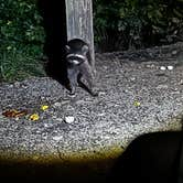 Review photo of Wolf Run State Park Campground by Tara R., July 25, 2026