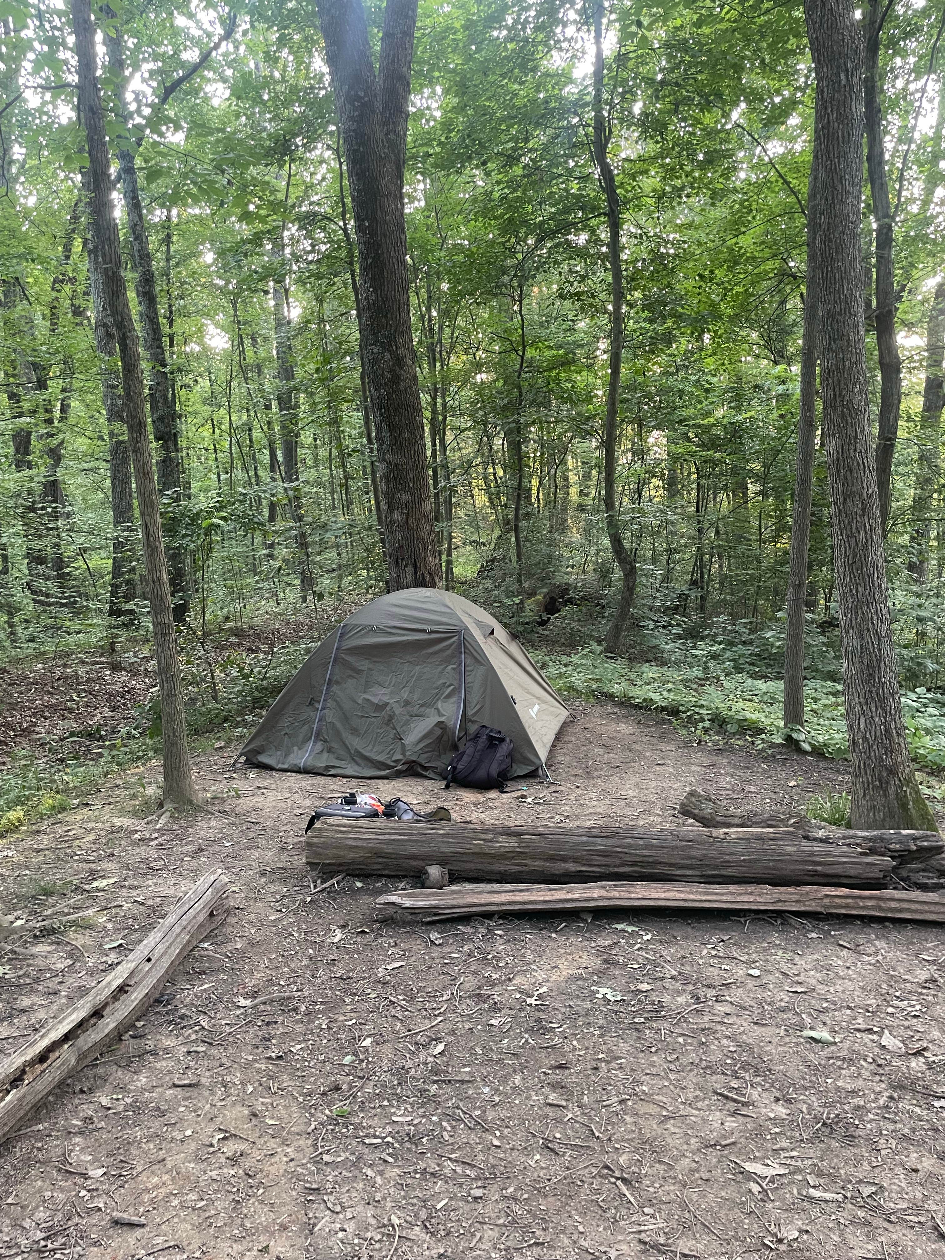 Lani R.'s photo of tent camping at Zaleski State Forest near Pedro, OH