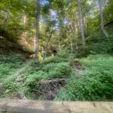 Review photo of Zaleski State Forest by Lani R., July 5, 2025