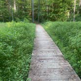 Review photo of Zaleski State Forest by Lani R., July 5, 2025