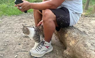 Lani R.'s photo of camping with pets at Zaleski State Forest near Chauncey, OH