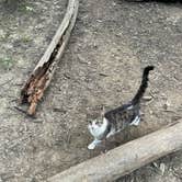 Review photo of Zaleski State Forest by Lani R., July 5, 2025