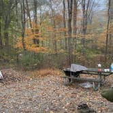 Review photo of Kentuck Campground — Ohiopyle State Park by Casey L., October 25, 2025