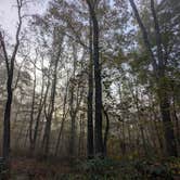 Review photo of Kentuck Campground — Ohiopyle State Park by Emily M., February 3, 2024