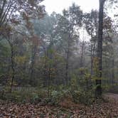 Review photo of Kentuck Campground — Ohiopyle State Park by Emily M., February 3, 2024