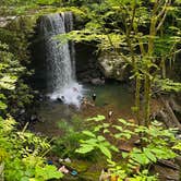 Review photo of Kentuck Campground — Ohiopyle State Park by Cari E., July 31, 2026