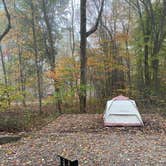 Review photo of Kentuck Campground — Ohiopyle State Park by Casey L., October 25, 2025