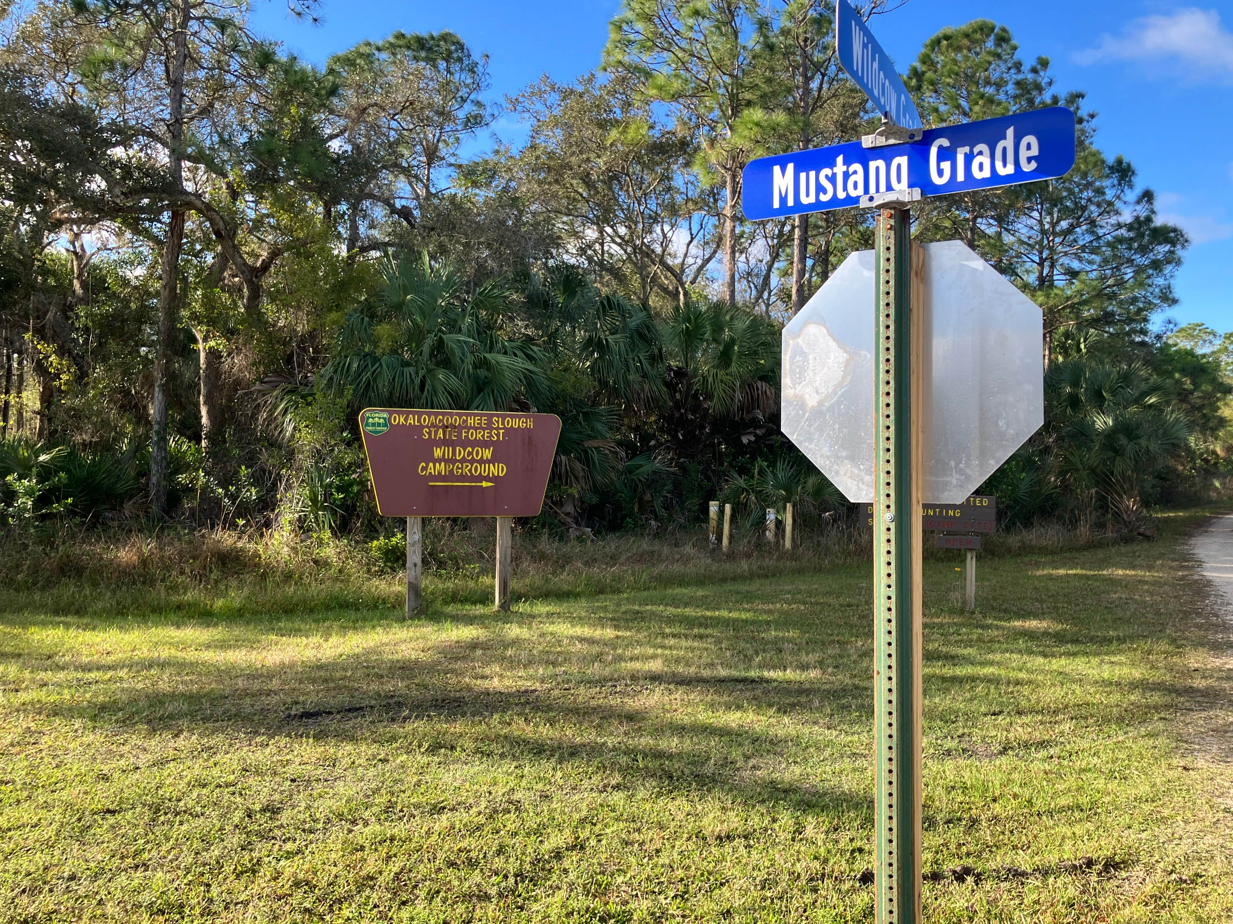 Camper-submitted photo at Okaloacoochee Slough Hunt Camp near Naples, FL