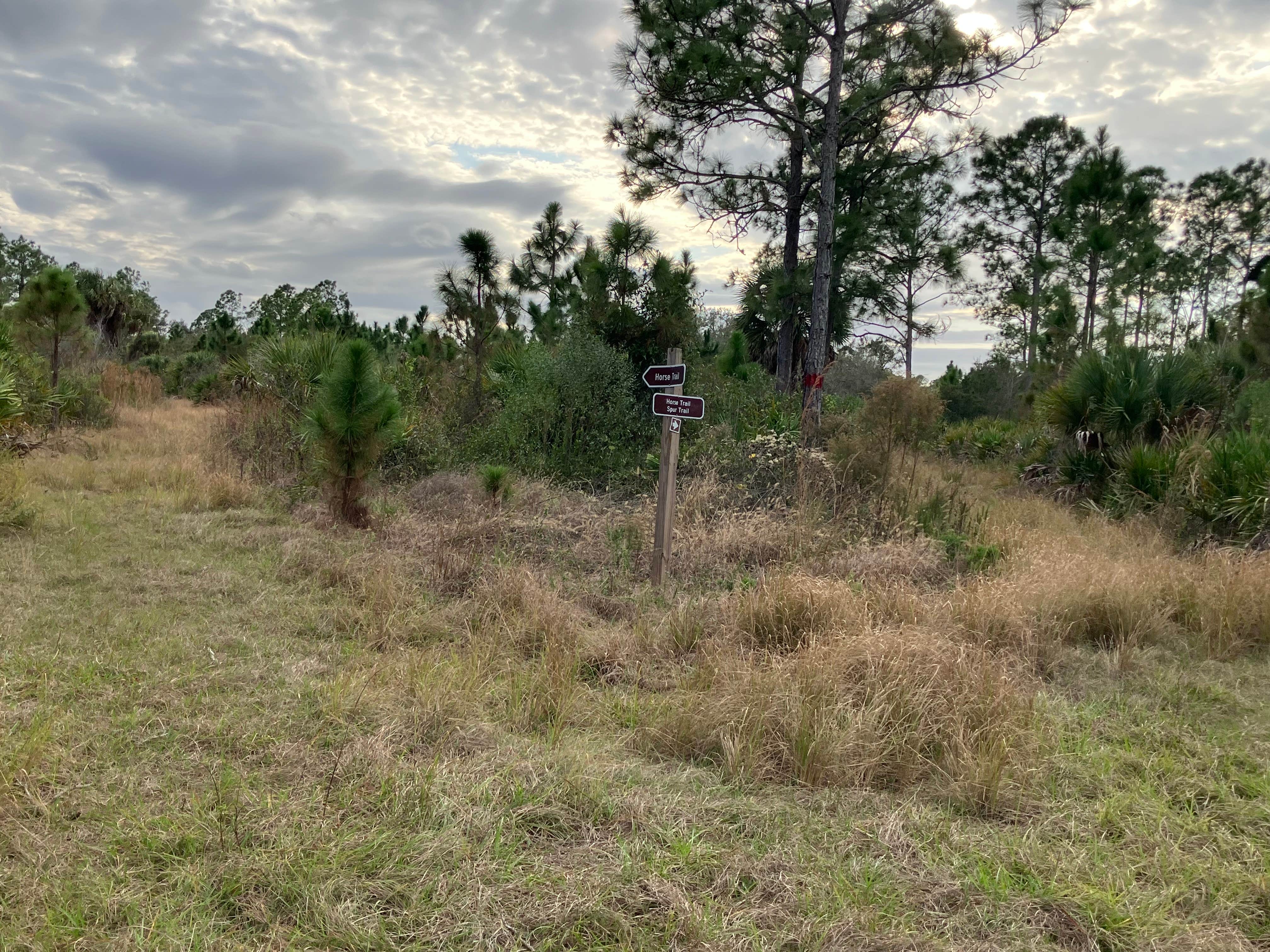 Camper-submitted photo at Okaloacoochee Slough Overflow Campground near Naples, FL