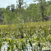 Review photo of Okefenokee Pastimes Cabins and Campground by Joel R., June 13, 2025