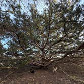 Review photo of Alabaster Caverns State Park Campground by Ilce H., May 1, 2026