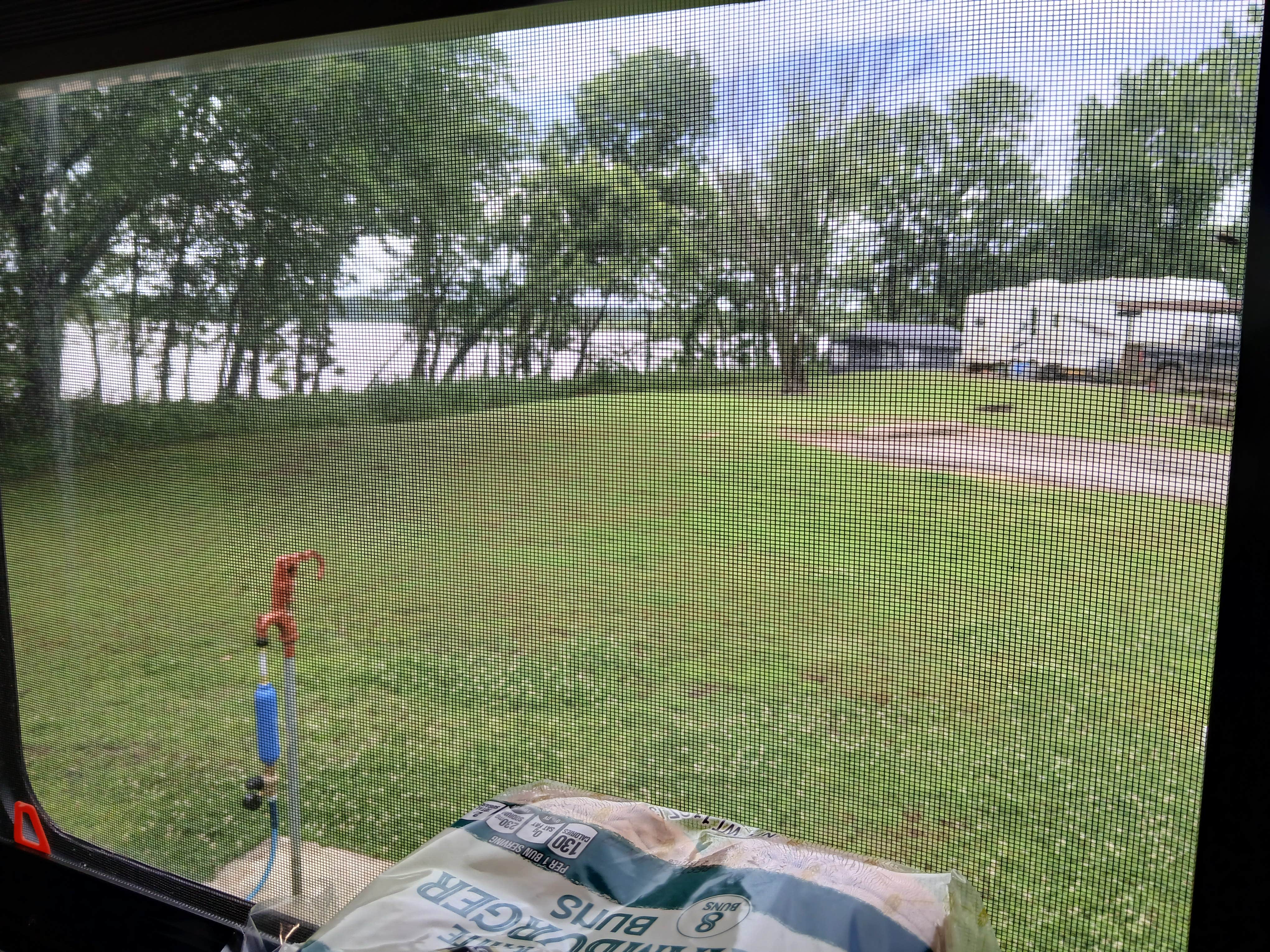 Camper submitted image from Bear Creek Cove - 3