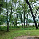 Review photo of Bear Creek Cove by Dana H., June 16, 2025