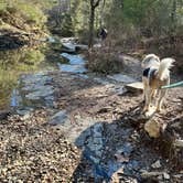 Review photo of Beavers Bend State Park Campground by Sarah S., January 8, 2024