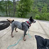 Review photo of Beavers Bend State Park Campground by Bonnie B., June 3, 2025