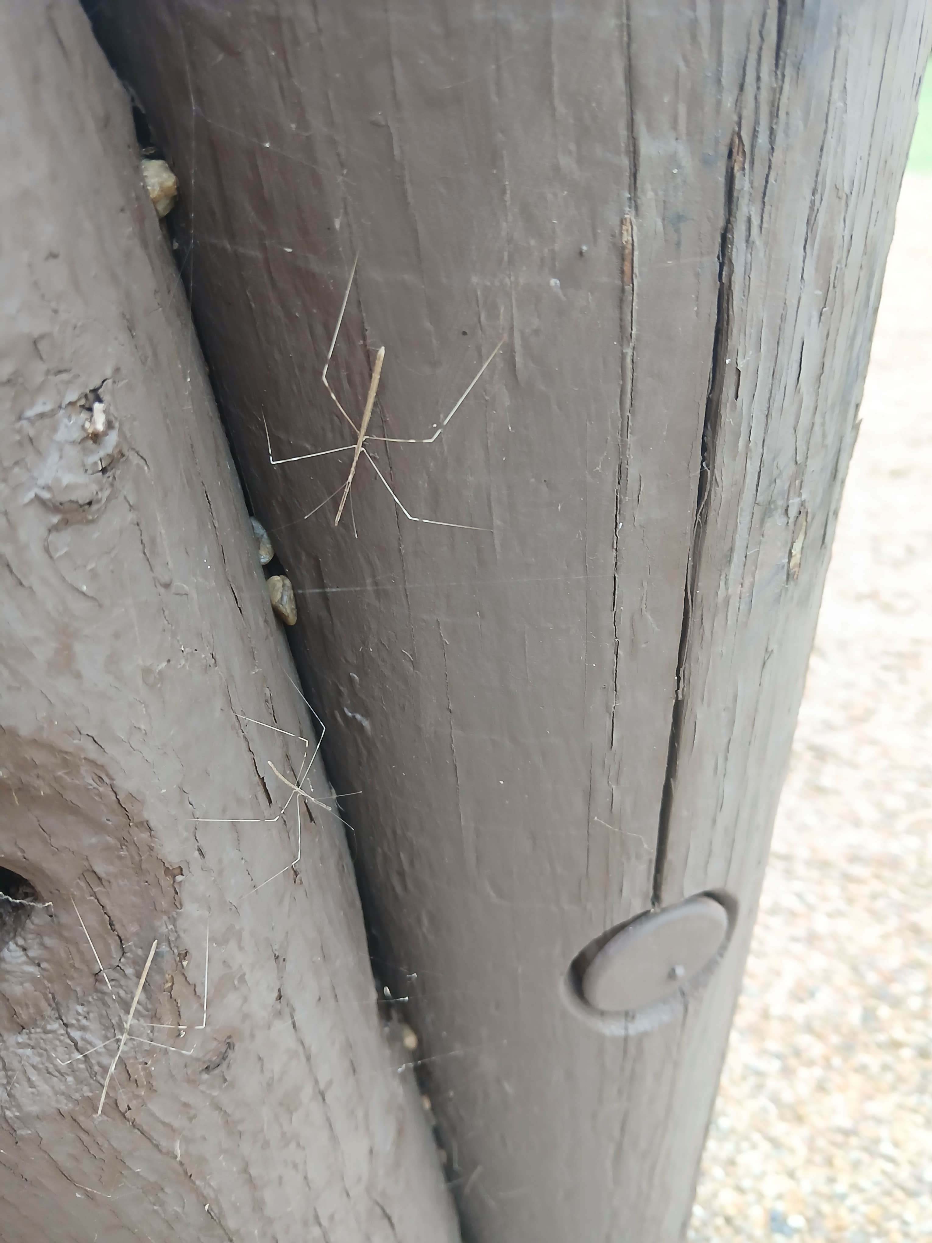Camper-submitted photo at Big Bend Park near Canton Lake