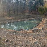 Review photo of Billy Creek by Kalynn S., March 24, 2026