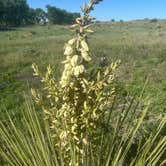 Review photo of Black Mesa State Park Campground by Ursula , May 21, 2025