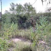 Review photo of Black Mesa State Park Campground by Carol B., September 29, 2024