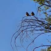Review photo of Black Mesa State Park Campground by John T., May 20, 2026