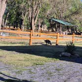 Review photo of Black Mesa State Park Campground by John T., May 20, 2026