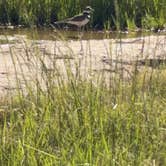 Review photo of Black Mesa State Park Campground by steven &., May 10, 2026
