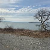 Review photo of Caney Creek by Teresa T., January 22, 2026