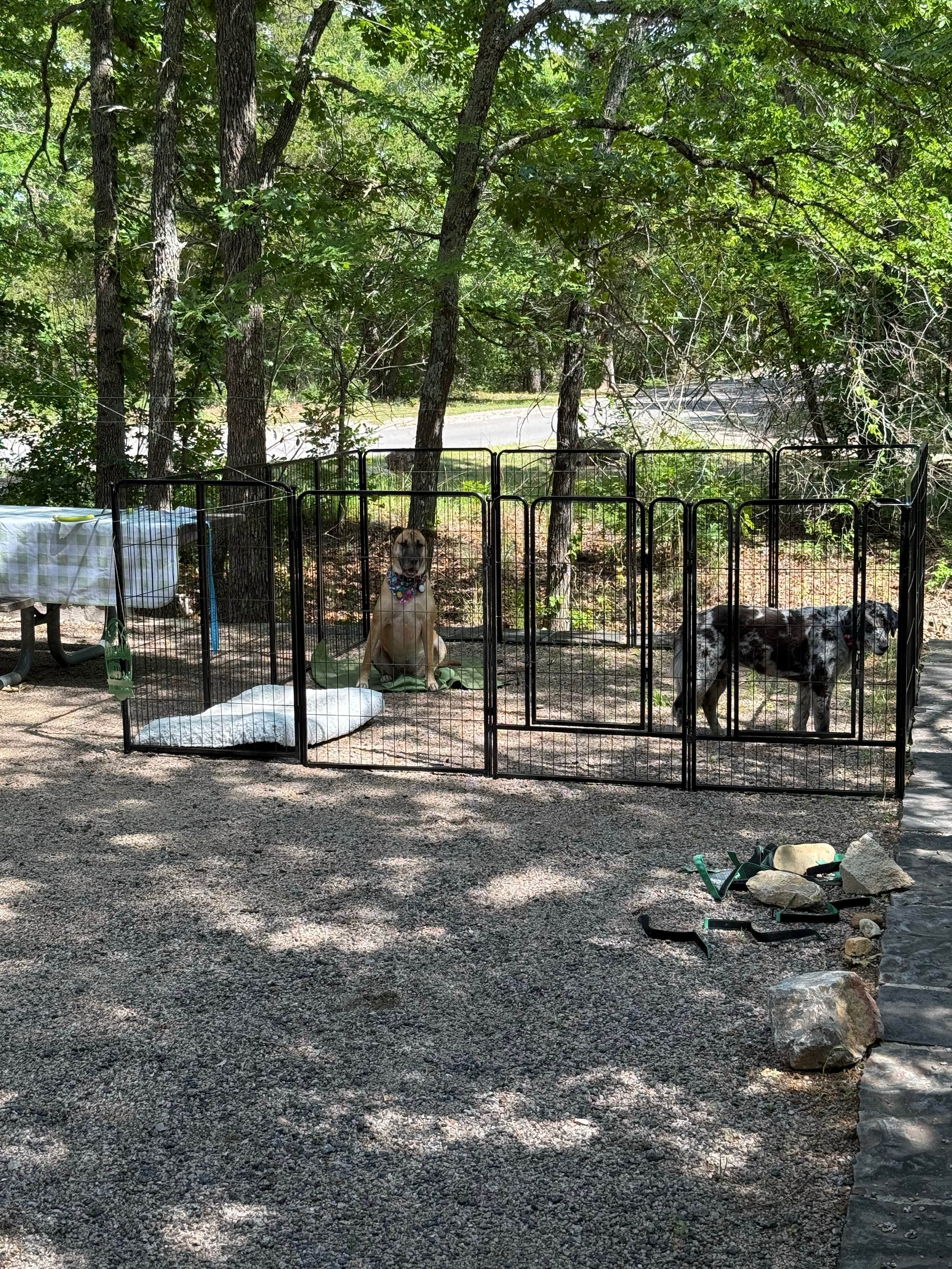 Jennifer O.'s photo of camping with pets at The Point Campground — Chickasaw National Recreation Area near Davis, OK