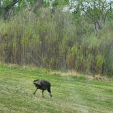 Review photo of Doby Springs Park by Lena H., April 19, 2024