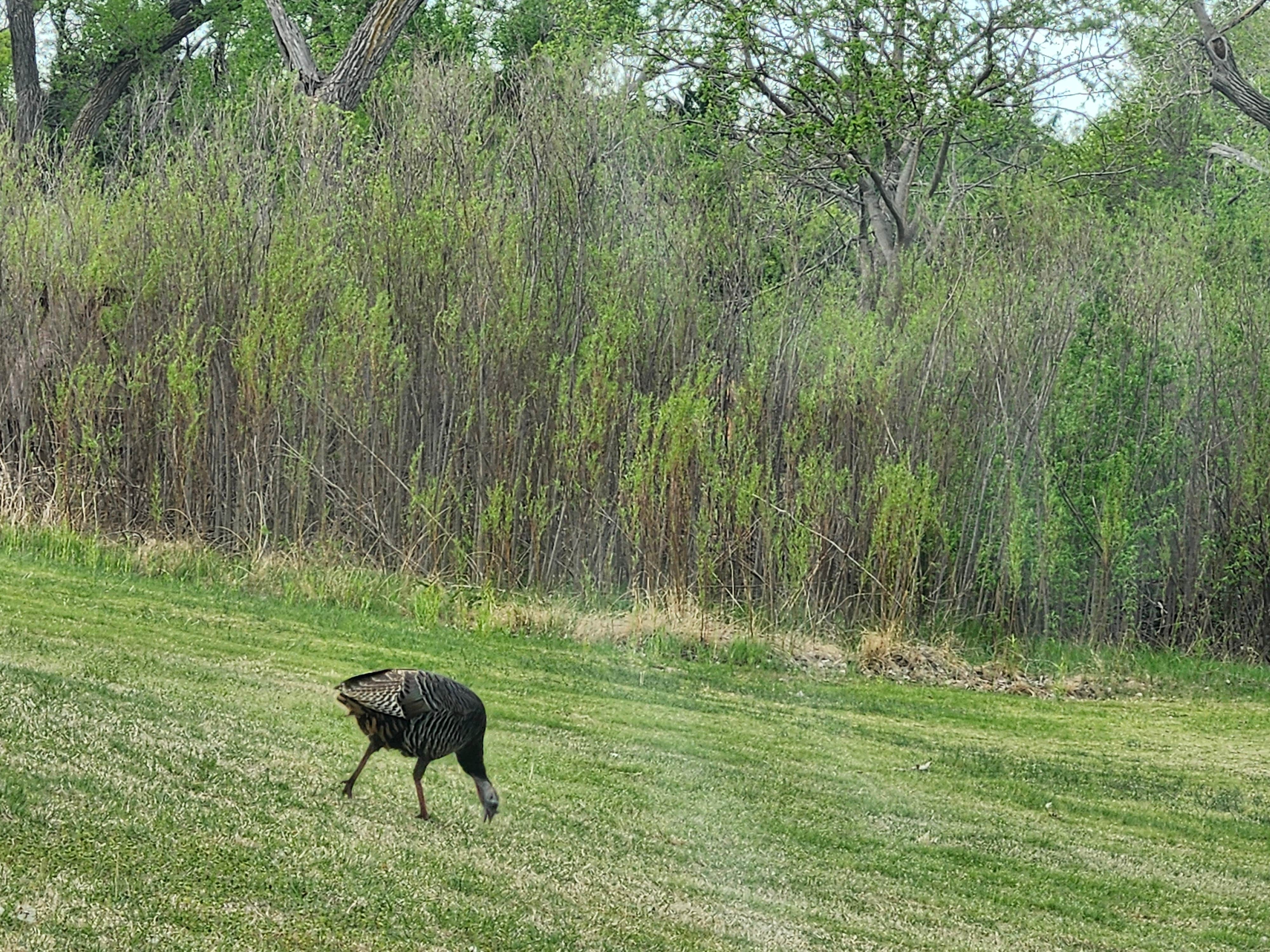 Camper submitted image from Doby Springs Park - 1