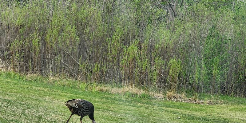 Camper submitted image from Doby Springs Park