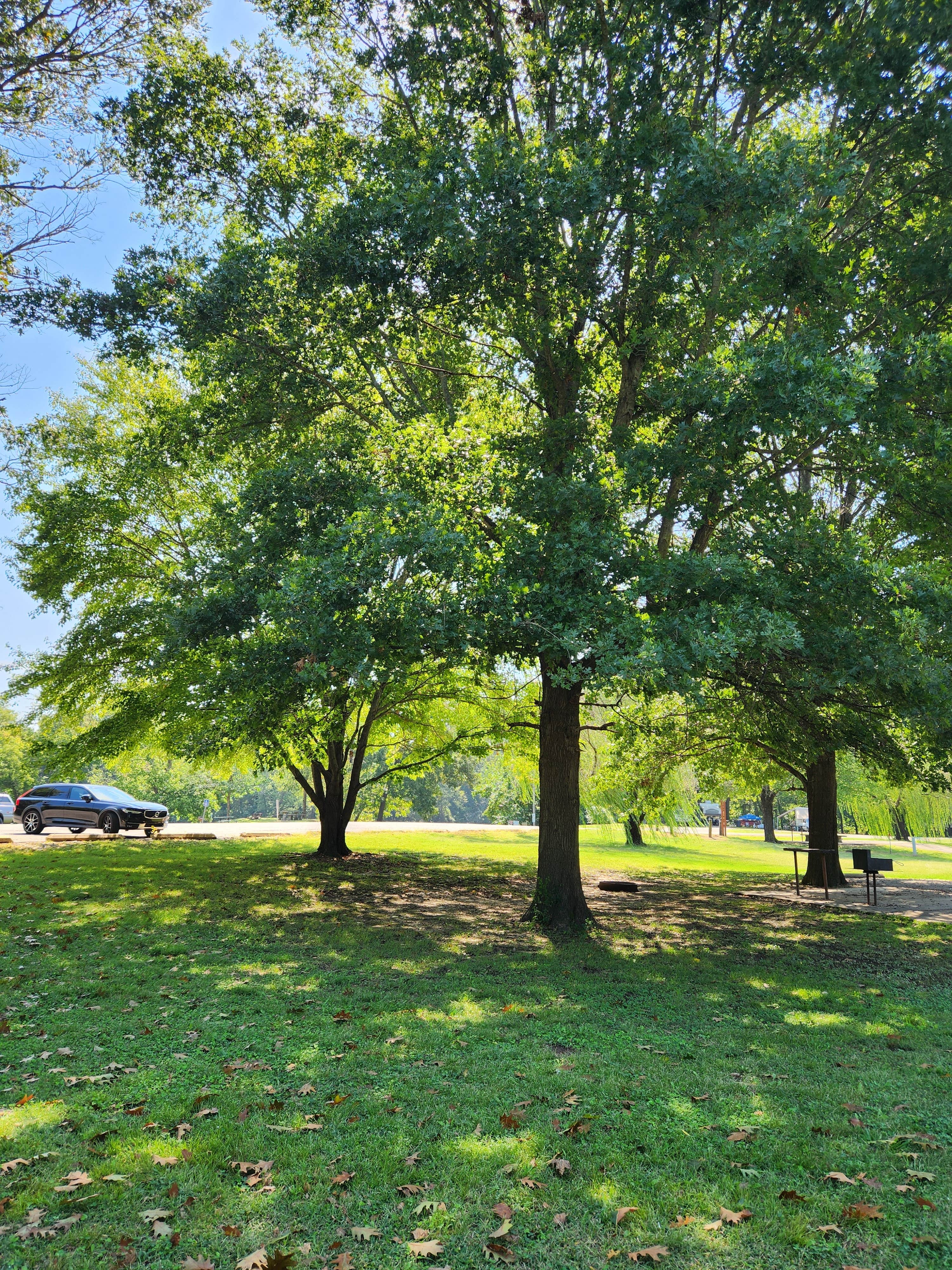Camper-submitted photo at Gore Landing near Stigler, OK