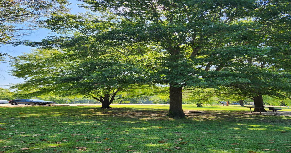 Gore Landing Camping Gore, OK