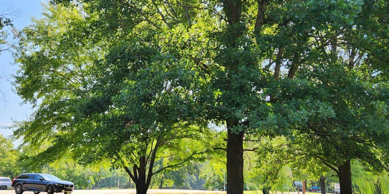 Camper submitted image from Gore Landing