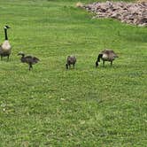 Review photo of Great Plains State Park Campground by Christine D., June 11, 2025