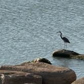 Review photo of Great Plains State Park Campground by Preston J., October 13, 2024