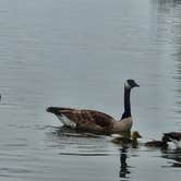 Review photo of Great Plains State Park Campground by Christine D., June 11, 2025