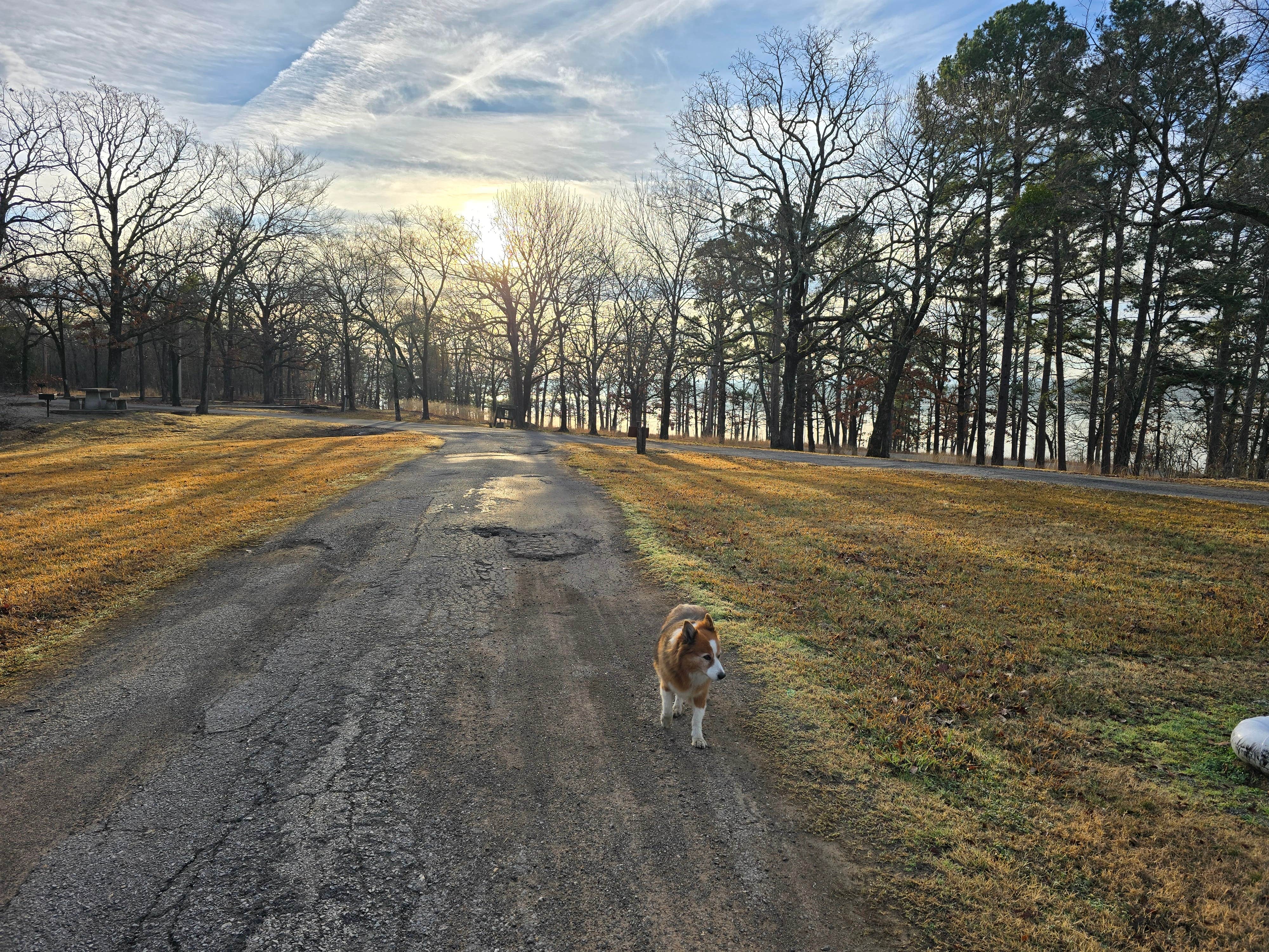 Camper-submitted photo at Wards Campground — Lake Wister State Park near Muse, OK