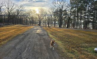 Teresa T.'s photo of camping with pets at Wards Campground — Lake Wister State Park near Sardis Lake