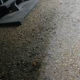 Review photo of Little River Park by Kristina B., July 28, 2025