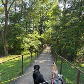 Review photo of Natural Falls State Park Campground by Jennifer O., July 13, 2025