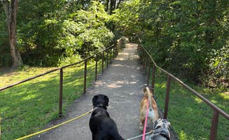 Jennifer O.'s photo of camping with pets at Natural Falls State Park Campground in Oklahoma