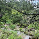 Review photo of Natural Falls State Park Campground by shelby  C., February 2, 2024