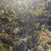 Review photo of Natural Falls State Park Campground by Miranda T., November 2, 2025