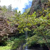 Review photo of Natural Falls State Park Campground by shelby  C., February 2, 2024