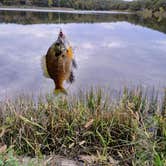 Review photo of Osage Hills State Park Campground by Dana H., October 13, 2025