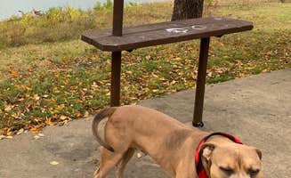 Elizabeth B.'s photo of camping with pets at Pettit Bay near Tahlequah, OK