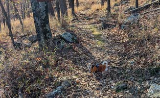 Leni K.'s photo of camping with pets at Sequoyah State Park - Marina and Cabins near Tahlequah, OK