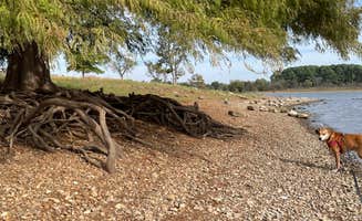 Jenny's photo of camping with pets at Sequoyah State Park - Marina and Cabins near Tahlequah, OK